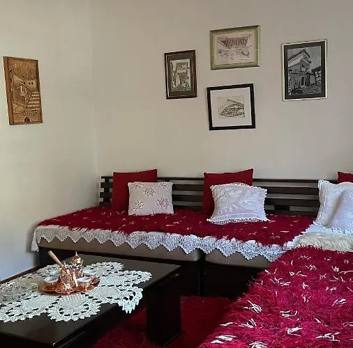 Auberge de jeunesse Ana Berat