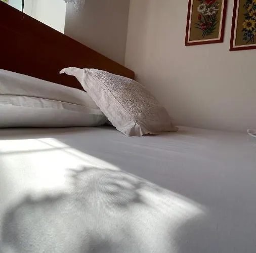 Auberge de jeunesse Ana